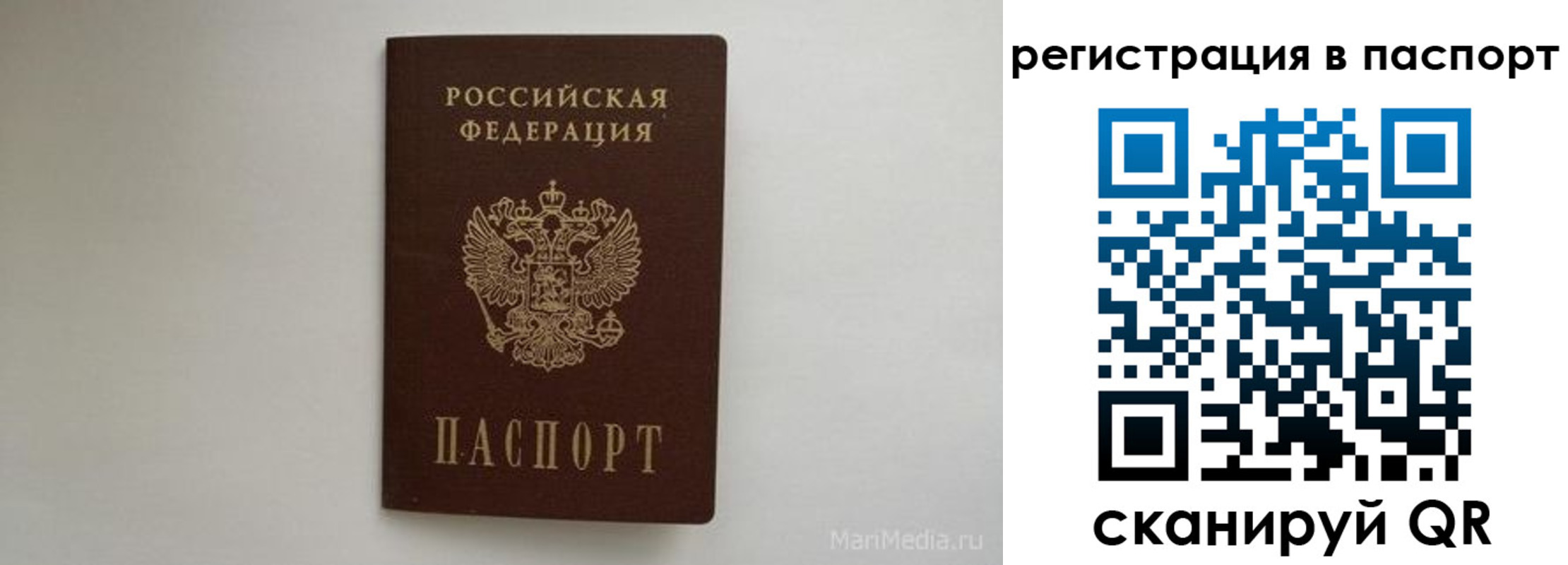прописка в Котельниче